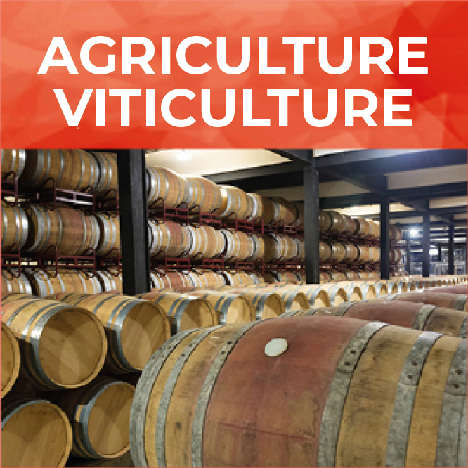 AGRICULTURE VITICULTURE